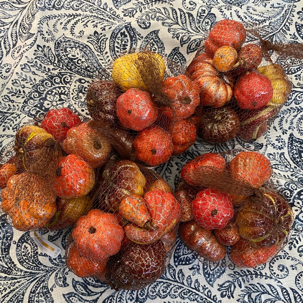 Mini Pumpkin Bundle! 5 bags of sparkly mini gourds